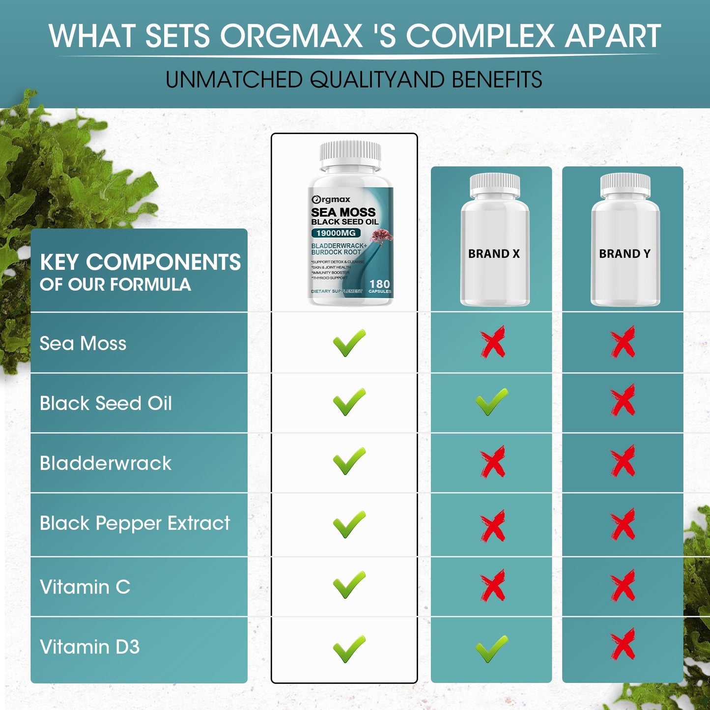 Orgmax Sea Moss Black Seed Oil Capsules