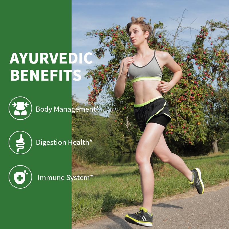 Gymnema Sylvestre Tea Bags