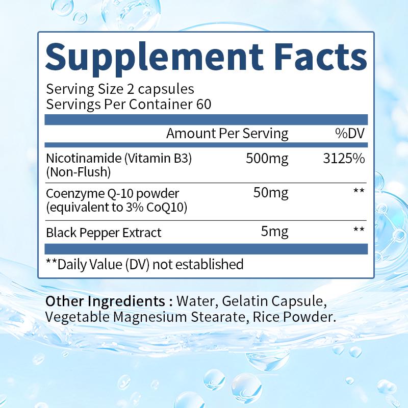 Orgmax Nicotinamide Capsules