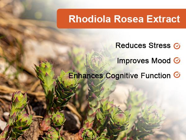 Orgmax Instant Coffee Rhodiola Rosea Dietary Supplement